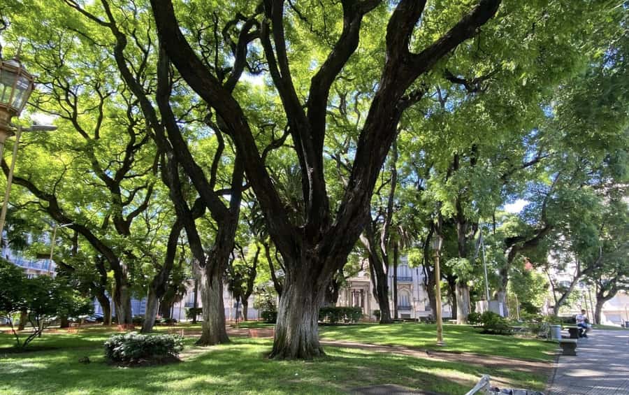 Buenos Aires: 7 Hour Small Group "BA 101" Walk - Plaza de Mayo and Casa Rosada: Government, Founding, and Symbol Power