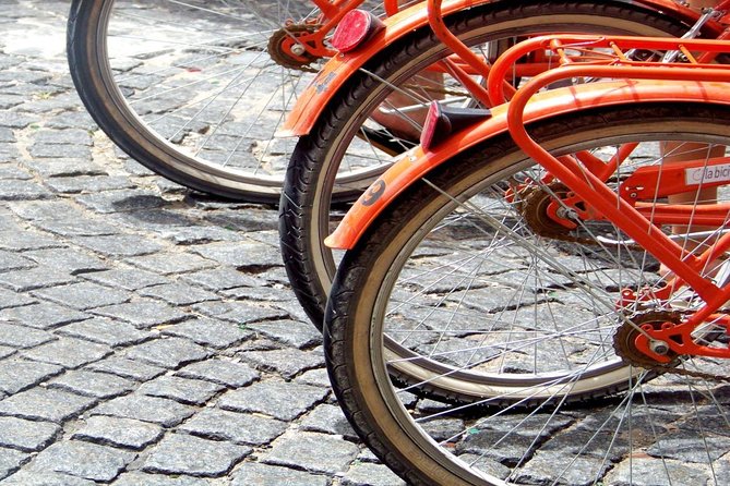 Buenos Aires Bike Tour: San Telmo and La Boca Districts - Plaza de Mayo and Casa Rosada photos without the long slog