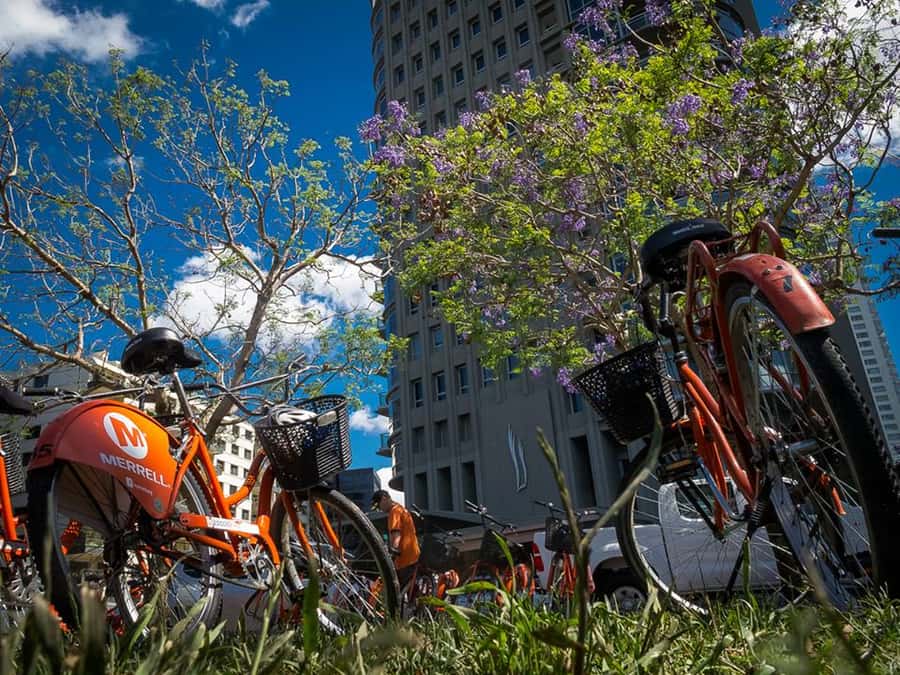 Buenos Aires Bike Tour: South or North Circuit - Where the tour starts in San Telmo (and how to be ready)