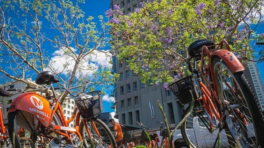 Buenos Aires Bike Tour: South or North Circuit - What the guide actually adds (and why it changes the ride)