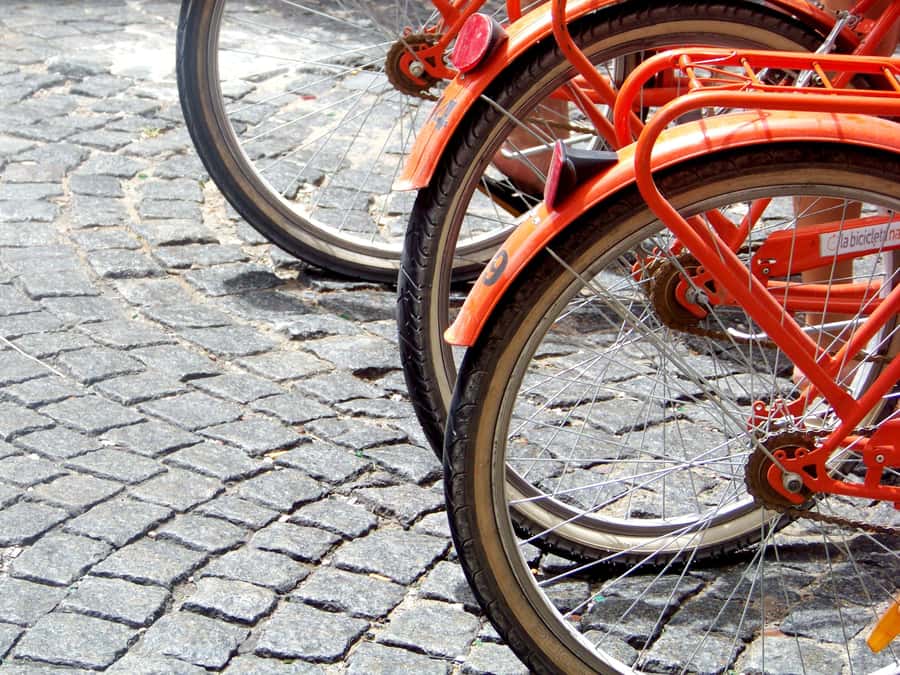 Buenos Aires Bike Tour: South or North Circuit - Price and value: $50 for 3 hours of bike sightseeing