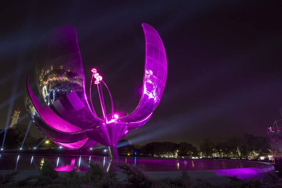 Buenos Aires by Night: Small Group City Tour - Comfort, Safety, and the Walking Reality