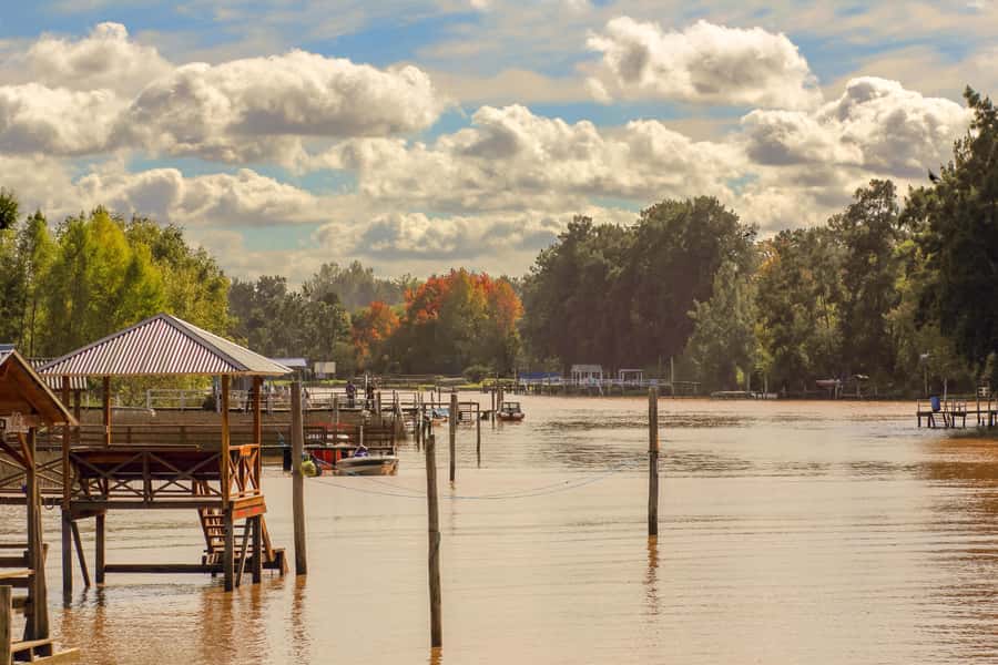 Buenos Aires: Puerto Madero to Tigre Round Trip Cruise - Audio guide plus captain narration: the value of self-guided context
