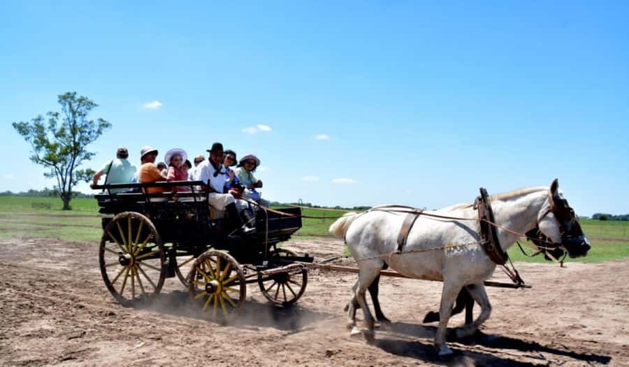 Buenos Aires: Santa Susana Ranch Day Tour, BBQ & Shows - Pulpería Welcome: Empanadas, Wine, and Your First Gaucho Taste
