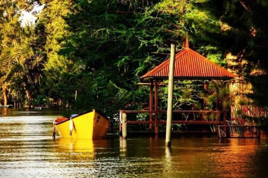 Buenos Aires: Tigre Delta Half-Day Tour with Navigation - Sturla Boat Cruise in the Paraná Delta: Where the Serenity Happens