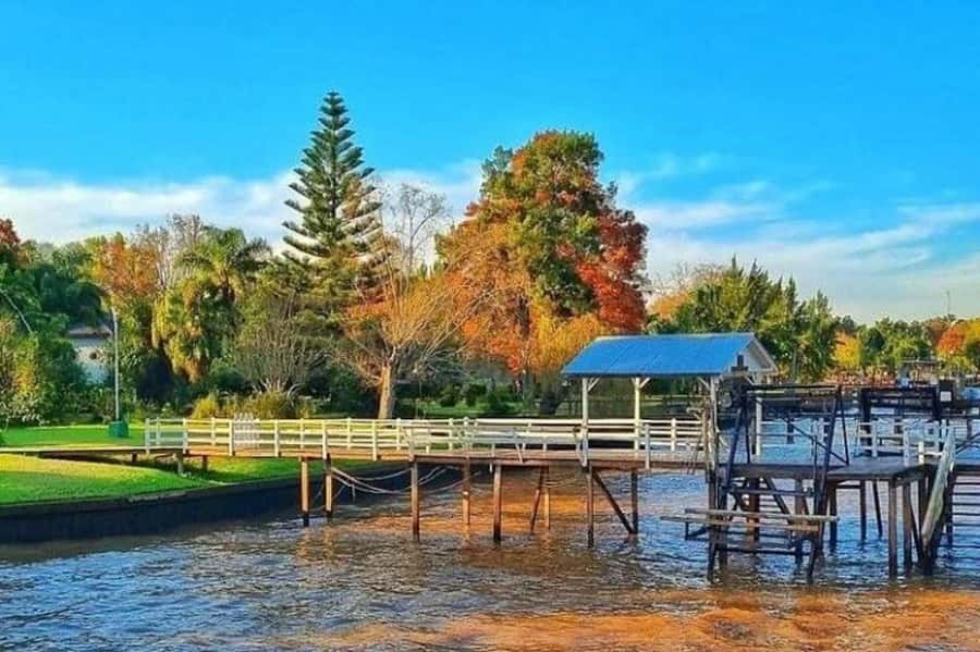 Buenos Aires: Tigre Delta Half-Day Tour with Navigation - Tigre City Stops: Paseo Victorica, Naval Museum, and Photo-Worthy Art