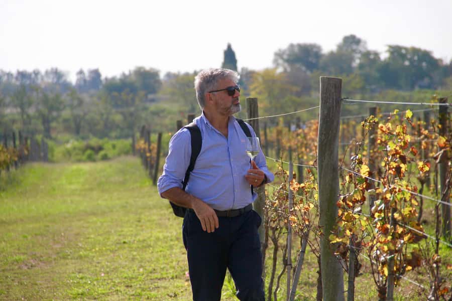 Buenos Aires: Wine Tasting and Lunch at Bodega Gamboa - How Much Walking Is Involved (and How to Adapt)