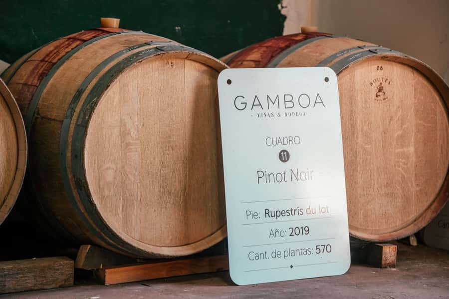 Buenos Aires: Wine Tasting and Lunch at Bodega Gamboa - What This Trip Is Best For