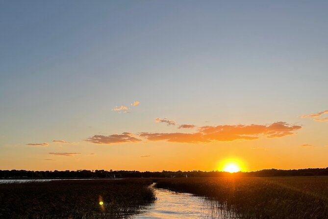 Customized Tigre Delta Tour lunch and drink included - The route: canals, wetlands, and why small boats matter