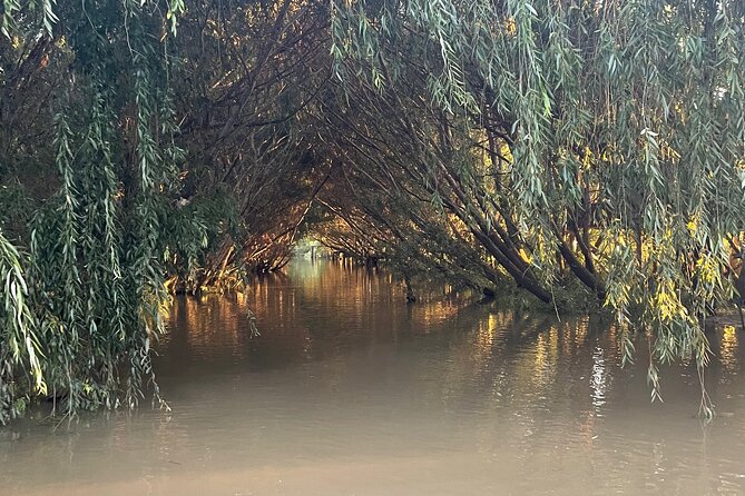 Customized Tigre Delta Tour lunch and drink included - Who this Tigre Delta lunch-and-boat tour suits best