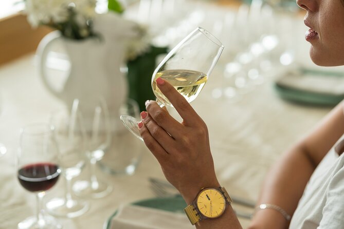 Discover Argentine Wines Paired with Delicious Tapas - From the arid north to cool plains: tasting Argentina by geography