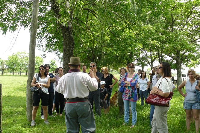 Estancia Gaucho Day at Buenos Aires - Arriving at the Estancia: What Your 5 Hours Are Really For