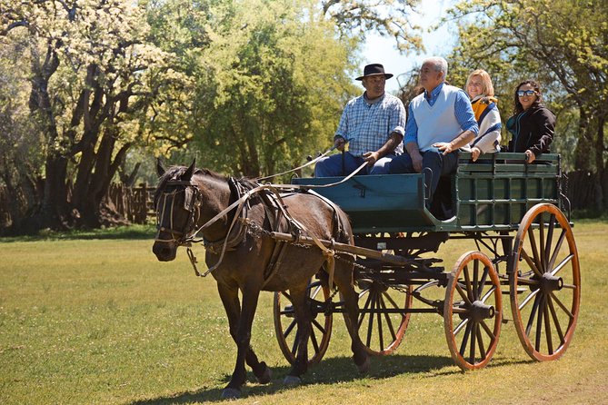 Estancia Gaucho Day at Buenos Aires - Horseback Riding: Enjoyable, Short, and More Instruction Than Adventure