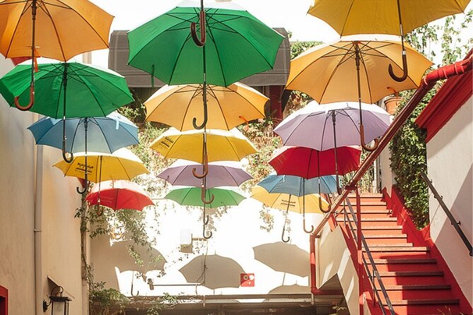Experience The Essence of Buenos Aires in San Telmo - What the guide does that you can’t DIY