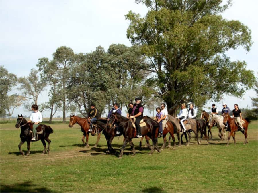 From Buenos Aires: Estancia Don Silvano Tour with Lunch. - Getting out of Buenos Aires: the 105-minute van ride that sets expectations