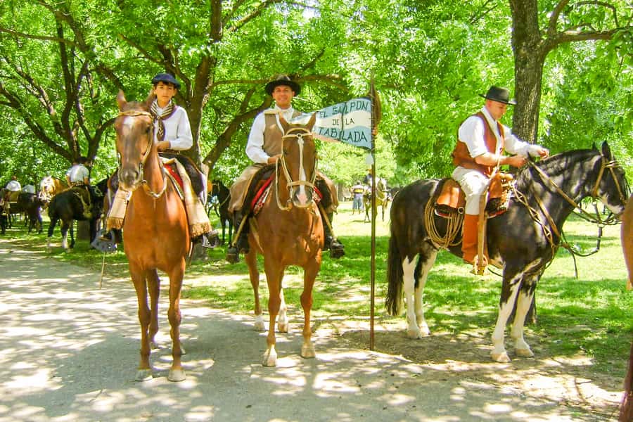 From Buenos Aires: Gaucho and Ranch Day Tour - Key highlights worth planning around