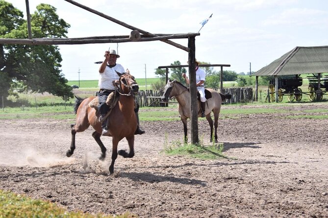 Gaucho Day Trip from Buenos Aires: Santa Susana Ranch - Key things to know before you go