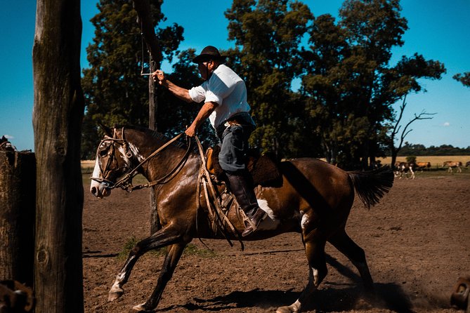 Gaucho Day Trip from Buenos Aires: Santa Susana Ranch - Horse-Drawn Carriage or Horseback: What You Really Get