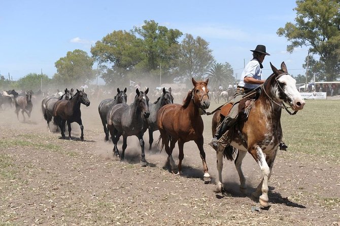 Gaucho Experience: A Day Trip to Don Silvano Ranch - Horses, Carriages, and the Real Deal on Riding Time