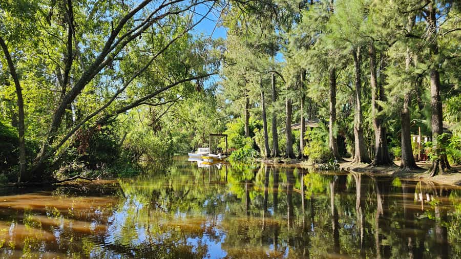 Navigation in Delta of Tigre - Exclusive semi private tour - Getting Picked Up: Door-to-Door From Buenos Aires to Tigre