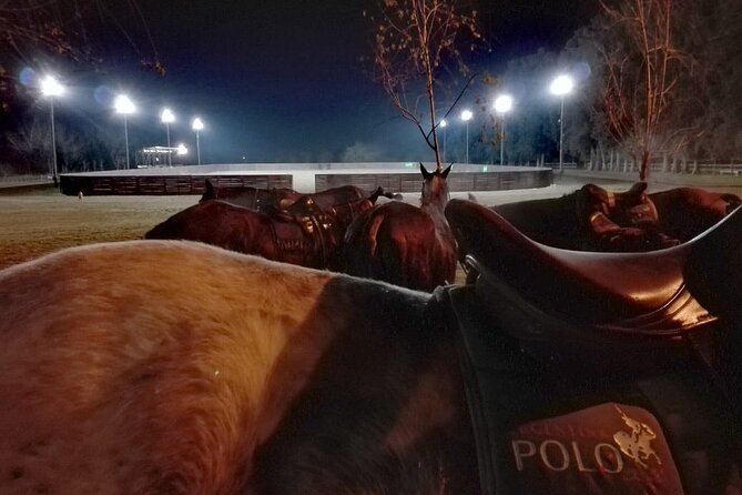 Polo Under the Stars and Argentine BBQ Evening Venue from Buenos Aires - Key Highlights You Should Not Miss