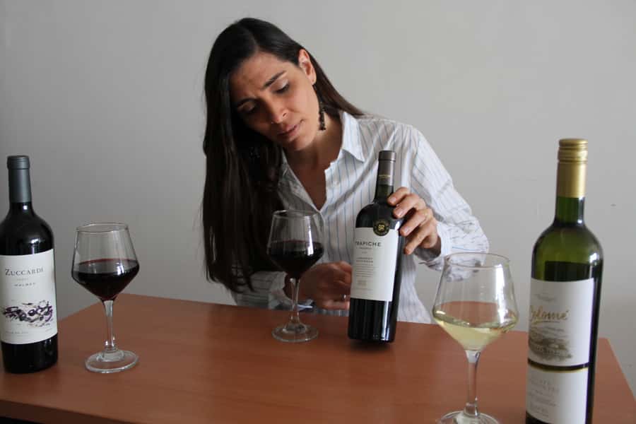 Premium Argentinian Wines and Malbec Tasting Experience - Price and Value: Is $50 Worth 90 Minutes?