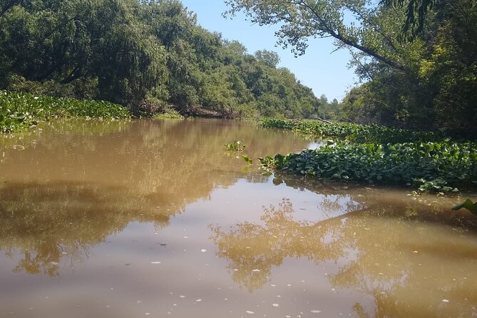 Safari náutico en tigre - Timing and what the 4–5 hours usually feels like