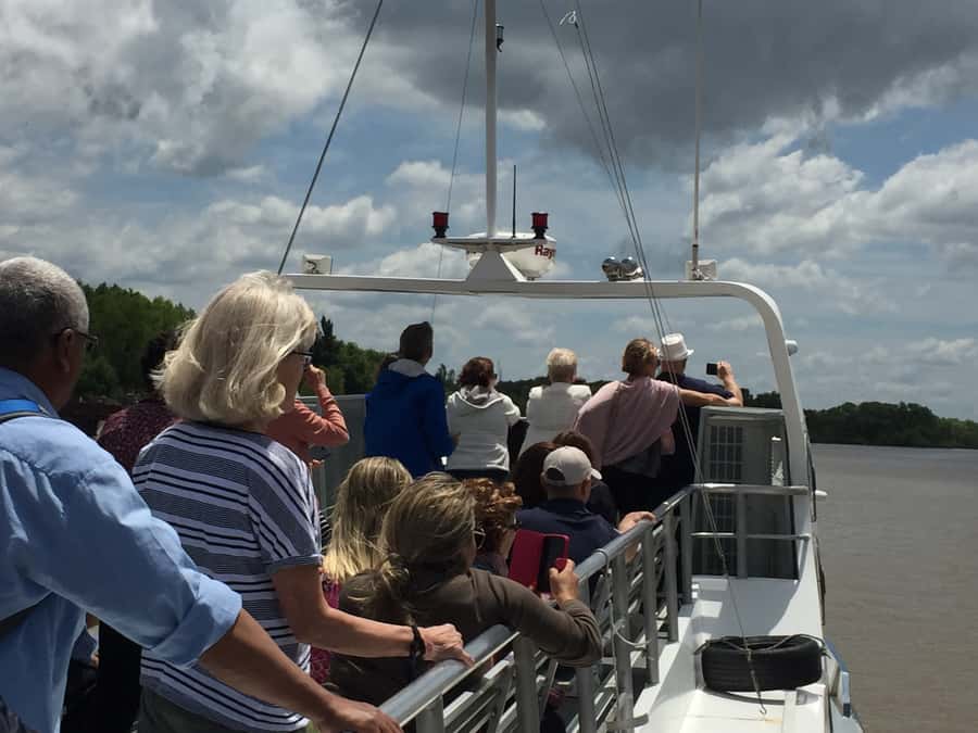 Tigre Delta: Half-Day Tour and Boat Trip - Key Highlights to Focus On