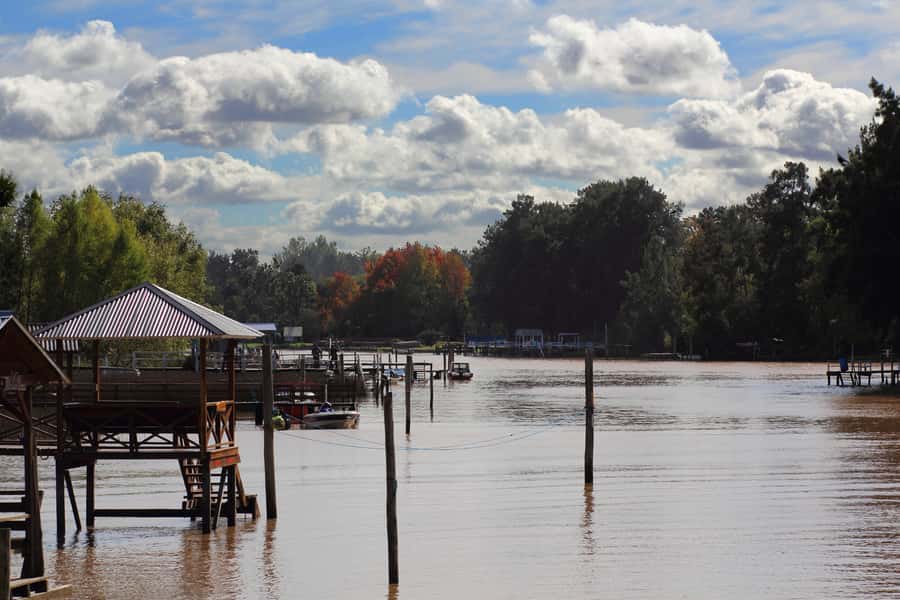 Tigre: River Delta Panoramic Boat Tour - Tigre Delta highlights that make the hour worthwhile